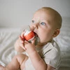 Babyono Grzechotka Gryzak  - Cukierek