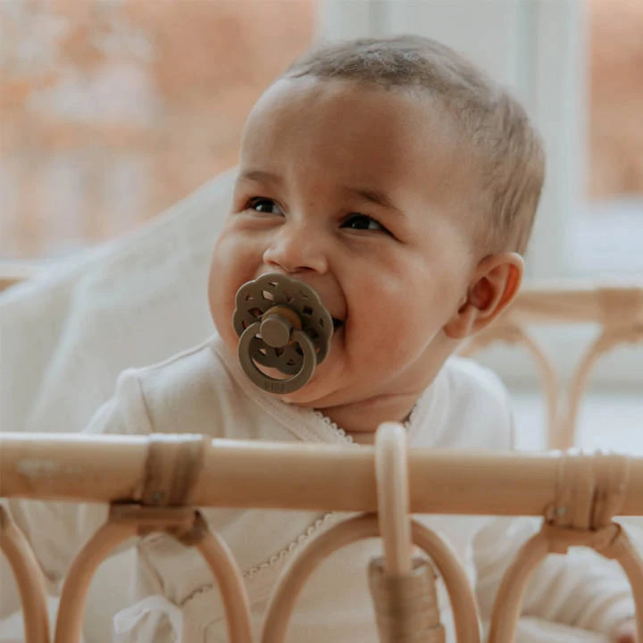 Smoczek Boheme Dark Oak 6+