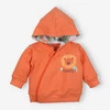 Bluza dresowa Lion z bawełny organicznej dla chłopca