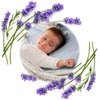 Babyono Termofor Z Pestkami Wiśni Szary