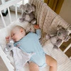 Babyono Pozytywka Koala Coco