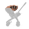 Terracota