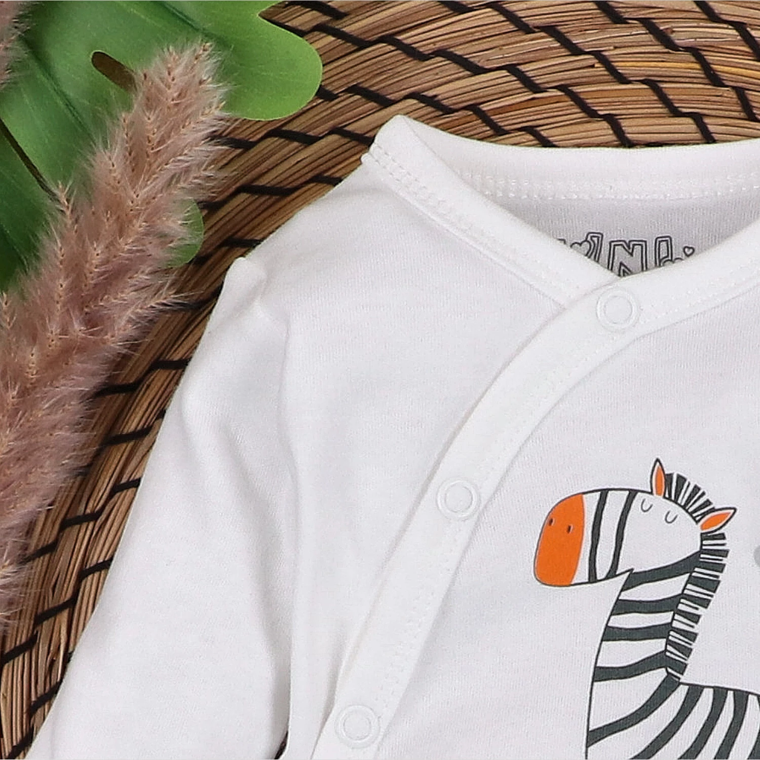 Body kopertowe z bawełny organicznej Zebra