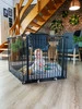 BabyDan - Kojec Carl Pentagon,  czarny