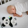 Babyono Przytulanka Szeleścik Blink&Shine Panda Polly