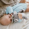 Babyono Pozytywka Koala Coco