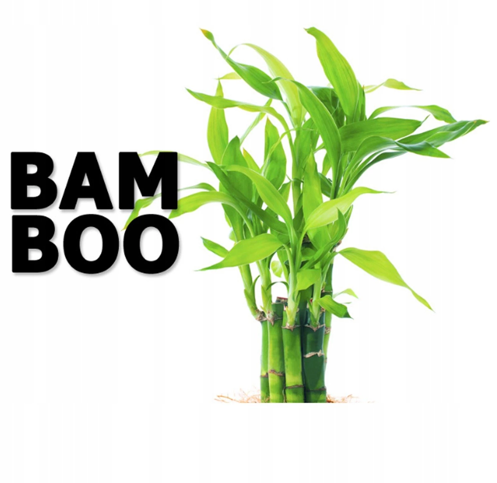 3x Skarpetki Stopki Bambusowe Damskie Szare