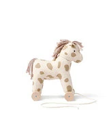 Dotty AIDEN